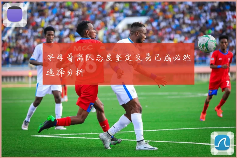 字母哥离队态度坚定交易已成必然选择分析