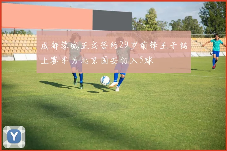 成都蓉城正式签约29岁前锋王子铭上赛季为北京国安打入5球